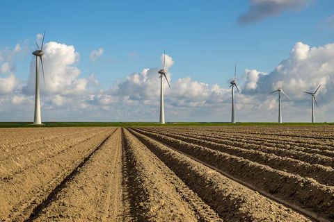 How Renewable Energy Is Transforming Modern Agriculture