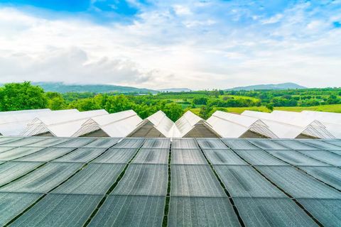 Discover Floating Solar Farms: Benefits, Insights & Future Energy Solutions